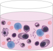 Icubation T Cells