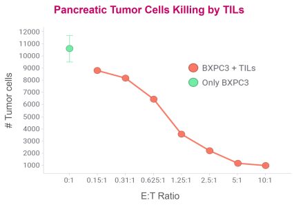 TILs Expansion and Killing Assays – Viviabiotech