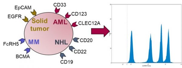 TCell3